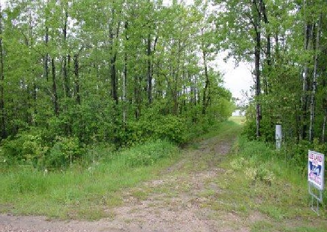 Fisher Grove