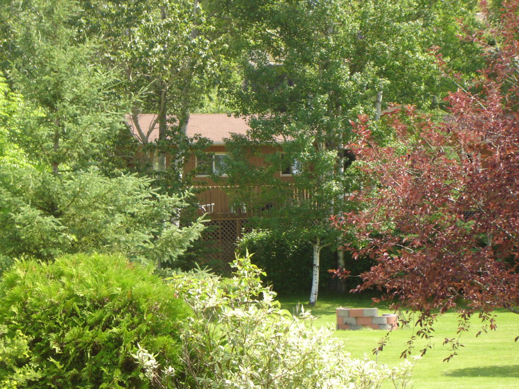 cottage front yard 2 John Angus Realty