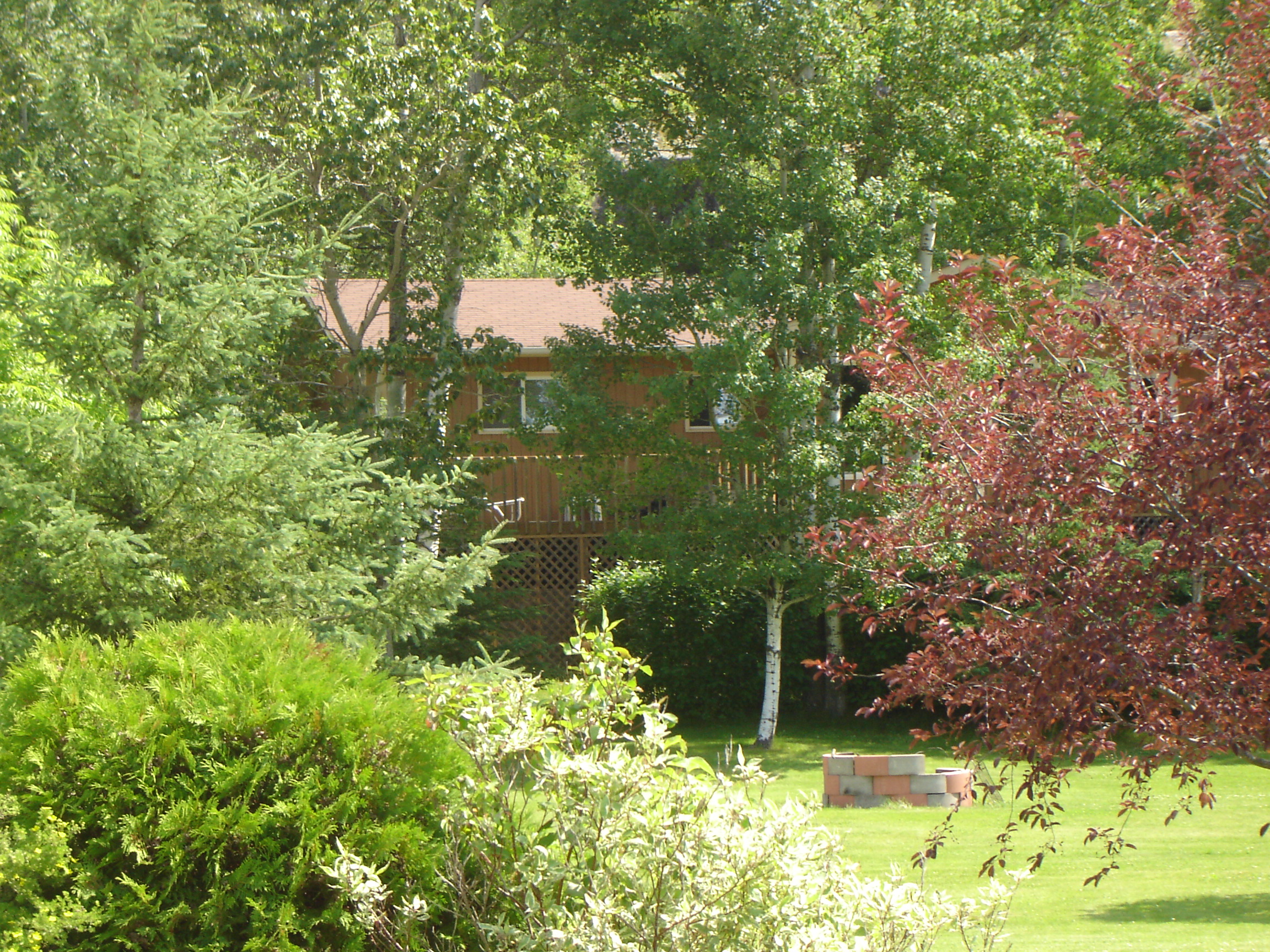 cottage front yard 2 - John Angus Realty