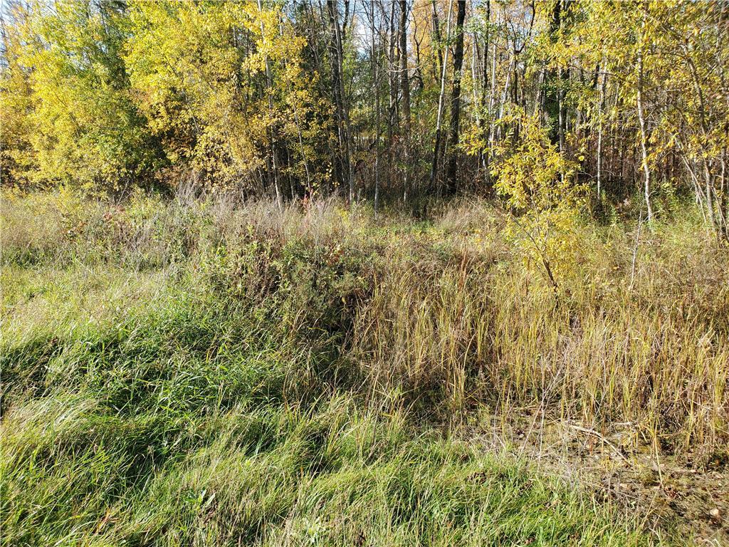 202025018_6 John Angus Realty